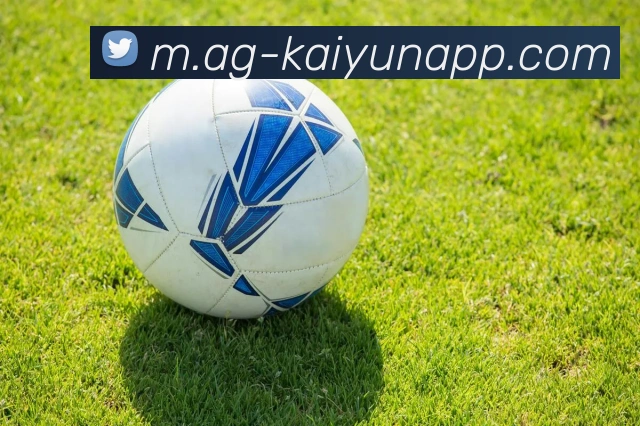 开云体育全站App